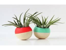 We shall show you 20 air plant containers and terrarium ideas which offer great possibilities of playing with the. Air Plant Containers By Bird And Feather Decor Garden Styles Plant Display Ideas