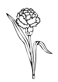 Marigold coloring pages are a fun way for kids of all ages to develop creativity, focus, motor skills and color recognition. Marigold Coloring Page Printable Coloring Pages Coloring Pages For Kids Printable Coloring Pages