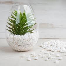 Pin By Tableclothsfactory High Qual On Hanging Plants In 2020 Glass Vase Decor Stone Vase Vases Decor