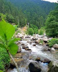 whitewater rafting along the franklin river in tasmania australia rafting fishing trip tasmania