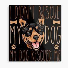 Metal dining table legs australian kelpie puppies. Australian Kelpie Metal Prints Redbubble