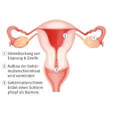Wenn du die pille regelmäßig nimmst, nicht erbrichst, keinen durchfall hast und keine medikamente nimmst die die wirkung der pille beeinträchtigen, du die pille vor der pause mindestens 14 tage regelmäßig genommen hast (gilt nicht für die belara, da sind es 21 tage), die pause nicht länger als 7 tage dauert und du spätestens am 8. Wie Wirkt Die Pille