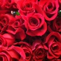 The coastlines of melbourne are great for whatever outdoor adventure you can think of. Terri Werkheiser Owner The Enchanted Florist Linkedin