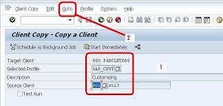 Sap Basis Raju Blogspot Com How To Do The Client Copy In Sap Execute Tcode Sap Target Client Copy Editing