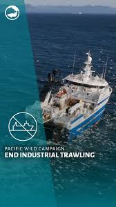 Image result for trawling