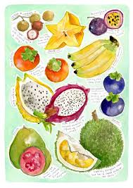 Tropical Fruit Chart Ii Dawn Tan