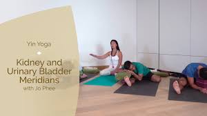 The yang meridians of the arm are the large intestine, small intestine, and triple burner. Yin Yoga Practice Courses On Omstars