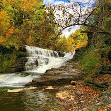 Surprisingly Down To Earth And Very Funny My Autobiography Cornell University Ithaca New York Source Capncook521 Reddit Cornell University Ithaca Cornell