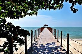 Zitplaatsgegevens aan het laden… penang strand van bangkok planning. 11 Strand Meer Turtle Beach Penang Nationalpark Malaysia Travel On Toast