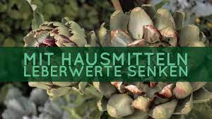 Leberwerte Senken Mit Hausmitteln Das Konnen Sie Unternehmen