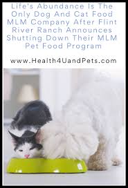 On december 30, 2020 the fda reported that midwestern pet foods, inc. Health Products For People Pets Life S Abundance Is The Only Dog And Cat Food Mlm Company After Flint River Ranch Announces Shutting Down Their Mlm Pet Food Program