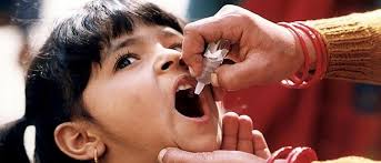 Alison Braley-Rattai