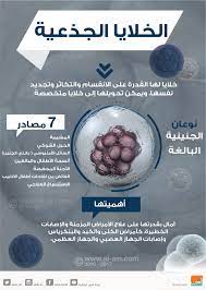 هذه الخلايا الجذعية السرطانية تتفادى التعرف المناعي مما يساهم في تطور المرض و الذي يلخص لدور الخلايا الجذعية السرطانية في تثبيط المناعة. Ù…Ø³ØªØ´ÙÙ‰ Ø§Ù„Ø¥Ù…Ø§Ø±Ø§Øª ÙŠØ´Ù‡Ø¯ Ø§ÙØªØªØ§Ø­ Ø£ÙˆÙ„ Ù…Ø±ÙƒØ² Ù„Ù„Ø®Ù„Ø§ÙŠØ§ Ø§Ù„Ø¬Ø°Ø¹ÙŠØ©