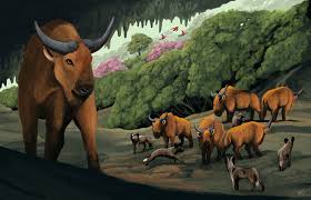 Image result for Astropanax