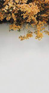 Maybe you would like to learn more about one of these? Flower Wallpaper Yellow