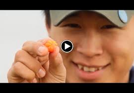 Alaska/Arctic Principle 8