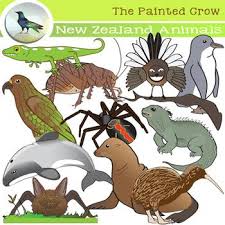 New Zealand Animals Clip Art Clip Art Animals Art