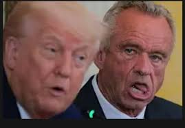 Kred (@kredfishing) • Threads, Say more