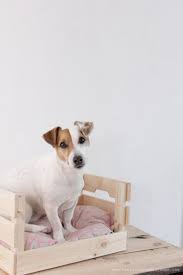 Quality rest is necessary for the dogs to grow and stay strong and healthy, and to recover after an active day outdoors. 10 Cool Ikea Hacks For Your Dog Comfydwelling Com