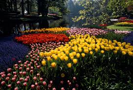 This country is given beautiful weather for seven months. 10 Beautiful Flower Destinations Around The World