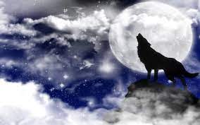 Howling Wolf Wallpaper 10770 Hd Wallpapers Howling Wolf Wallpaper Fondo De Pantalla Lobo Wolf Lobo Aullando