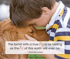 I wish i could speak dog, so i could explain why today is different and important! Absolutely Awesome Birthday Wishes For Your Dog The Write Greeting