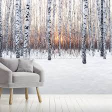 Maybe you would like to learn more about one of these? Birch Tree Winter Sun Wallpaper Wallsauce No
