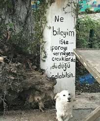Tarkan Sakacioglu Adli Kullanicinin Yasam Tarzi Panosundaki Pin Guzellik Sozleri Duvar Ozlu Sozler