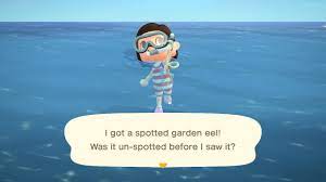 Here's how to unlock the feature and a list of new sea creatures to catch for blathers! Animal Crossing New Horizons Sea Creatures Guide How When And Where To Catch Them Gamesradar