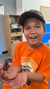 Hands-on and minds open! 🐍🐸🧠 Campers explored the wild world of animals  with @artfarminthecity —learning and touching their way through ‘Jiving in  the Jungle’ week! , #WeBelieveInSummer #SummerCamp ...