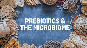 Gut Check: Prebiotics and the Microbiome – Food Insight