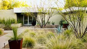 Desert areas are known for their usually hot climate. Desert Landscaping Ideas From A Phoenix Front Yard Sunset Magazine