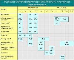Calendario vacunal común para toda españa en 2020. Calendario De Vacunacion 2020 Actualizado Con Todas Las Novedades