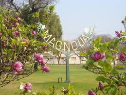 The Name Magnolia Dell Originated From The White Pink And Purple Magnolia Tree Which Was Named After Pierre Magnol Magnolia Trees Botanical Gardens Botanical