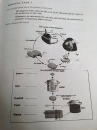 Writing Task 1 Sample Answer Process Question Ielts Advantage Writing Tasks Ielts Writing Task1 Ielts Writing