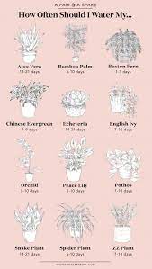 How Often Should I Water My Plants Collective Gen Common House Plants Inside Plants Plants