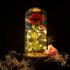 La douce belle est exploitée par ses deux sœurs. Rose Eternelle La Belle Et La Bete Rose Fleur Artificielle Sous Cloche Avec Lumineuse Led Dome En Verre Et Base En Bois Fete Des Meres Saint Valentin Cadeaux Anniversaire Decoration Style 2 Amazon Fr