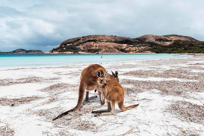 World's 26 Most Beautiful Beaches