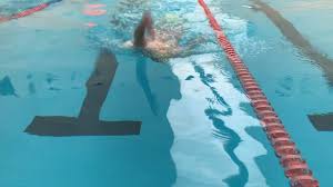 Get details of location, timings and contact. Bazin Olimpic Grigorescu Un Olimpic La Bazinul Olimpic Cluj Facebook