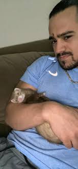 Así duerme cachi su siesta 😇😇😅