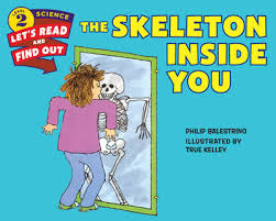 From the top of your head to the soles …. The Skeleton Inside You By Philip Balestrino True Kelley Waterstones