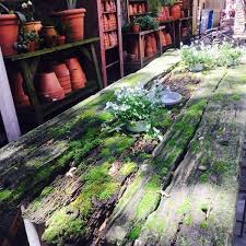 We list the 10 best flower delivery services in chicago. A New Leaf Old Town Triangle 1 Tip