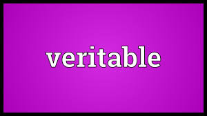 نتیجه جستجوی لغت [veritable] در گوگل