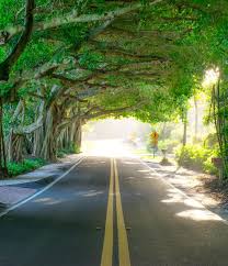Florida, also commonly known as the sunshine state, is a peninsula located at the southeastern tip of the united states. Martin County Florida Your County Your Community