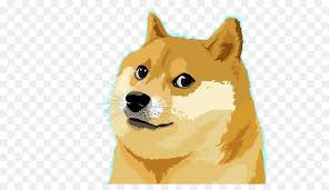 Join the community at reddit.com/r/dogecoin learn more at. Doge Dog Png Download 558 504 Free Transparent Dogecoin Png Download Cleanpng Kisspng