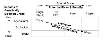 Most current gm crops grown in the u.s. Conservation Ecology The Risks And Benefits Of Genetically Modified Crops A Multidisciplinary Perspective