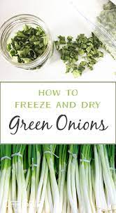 They can hold in the refrigerator crisper for a week or. How To Harvest And Preserve Green Onions Off Grid World