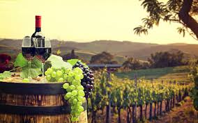 Vă propun struguri de vin de înaltă calitate. Soiuri De Struguri Care Sunt Cele Mai Bune Vinuri Crama Histria