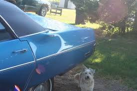 Image result for True Blue 1973 Fury