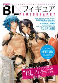 BL Figure PHOTOGRAPHY HOBBY JAPAN MOOK NEW Japan Togainu no chi AKIRA | eBay